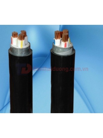 Cáp Điện Hạ Thế CXE/DATA - 0.6/1kV _ Cadivi