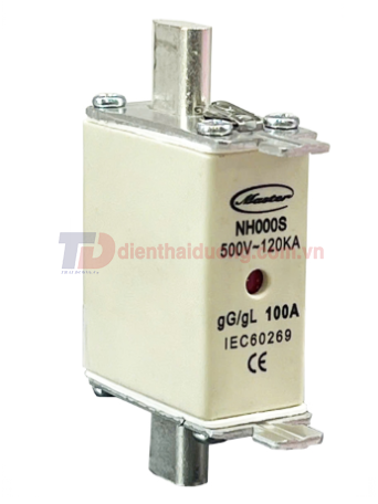 Cầu chì dòng ngắn mạch cao MASTER dãi dòng 20A - 125A ( NH000S )