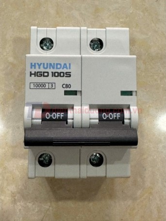 MCB HYUNDAI 2P 80A 10kA ( HGD100S )