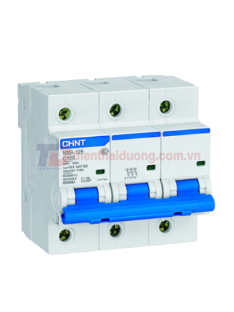 MCB CHINT 3P 125A 10kA ( NXB-125 )