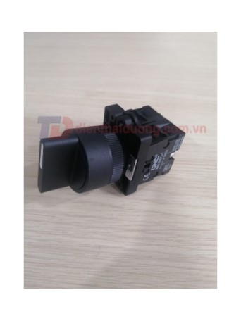Công tắc xoay CNC 3 vị trí 2NO Ø25 ( LAY5-ED33 )