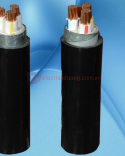 Cáp Điện Hạ Thế Có Giáp Băng Nhôm Bảo Vệ CVV/DATA _ Cadivi