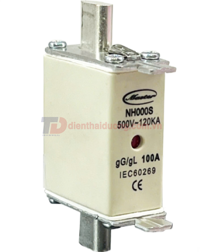 Cầu chì dòng ngắn mạch cao MASTER dãi dòng 20A - 125A ( NH000S )