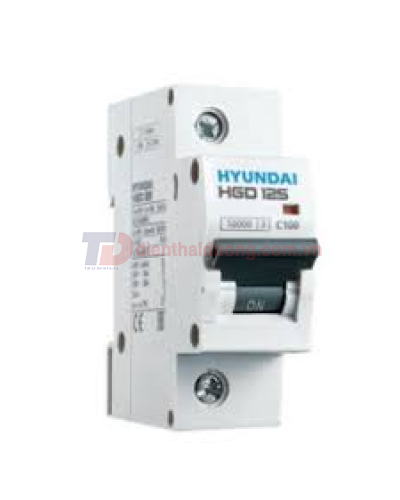 MCB HYUNDAI 1P 100A 10kA ( HGD125 )