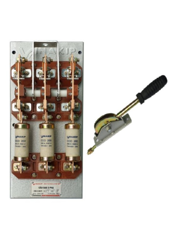 Cầu dao kiểu hở Vinakip CK01 3P 100A 660V